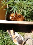 IMG_20200816_111234.jpg