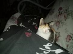 IMG_20200815_224352.jpg