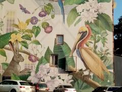 IMG_20200714_181638.jpg