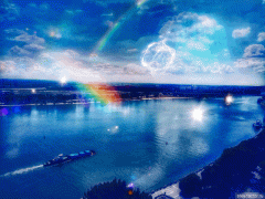 2D7C222D-2231-4668-9DA8-A09B78A215B6.gif
