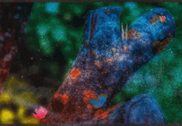 6A6B8C55-5F35-429A-A357-537B84F7996E.gif