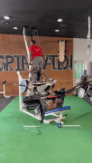 1661087021179127251.gif
