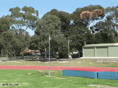 166158707412509814.gif