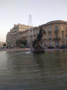 IMG_20220812_192917007.jpg