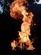 IMG_20220820_185816.jpg