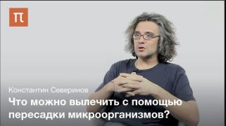 Cеверинов 1.JPG