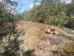 IMG_20230826_132824.jpg