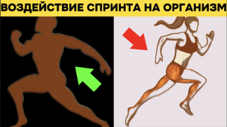 Снимок экрана 2024-08-15 в 21.55.03.png