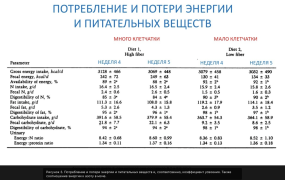 Снимок экрана 2024-08-23 в 10.57.23.png