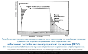 Снимок экрана 2024-08-24 в 19.03.44.png