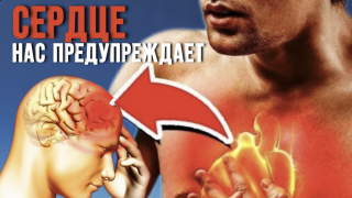 Снимок экрана 2024-08-20 в 21.23.51.png