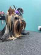 IMG-20230801-WA0004.jpg