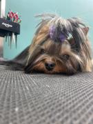 IMG-20230801-WA0001.jpg