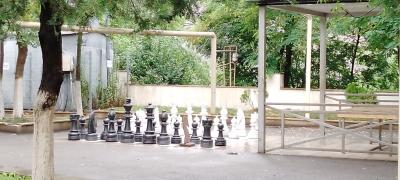 IMG_20240727_123603_070.jpg