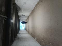 IMG_20250828_200706.jpg