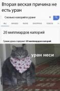 528166326_1947803419094113_2615272147538501751_n.jpg