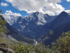 IMG_20250801_143901.jpg