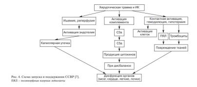 Хиртравма.jpg
