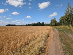 PXL_20260815_071308639.jpg