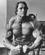 ARNOLD SCHWARZENEGGER-1.jpeg