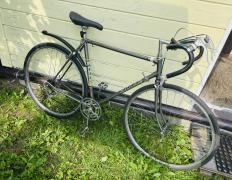 IMG_5588.jpeg