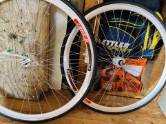 IMG_5722.jpeg
