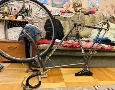 IMG_5546.jpeg