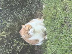 IMG_0883.jpeg