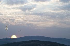 CRW_8290.jpg