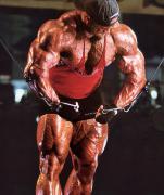 BranchWarren_FLX_Lund707.jpg