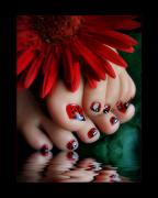 538_4_20Annette_20Pierce.jpg