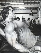 31133Arnold0085.jpg