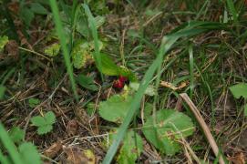 IMG_3364.JPG