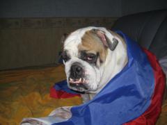 IMG_2622.JPG