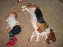 normal_IMG_7767.jpg