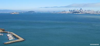 IMG_4772sm_cut.jpg