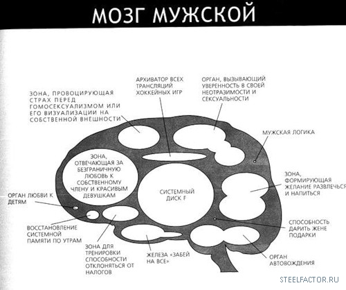 Половой акт схема