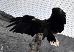 DSC_1863.JPG