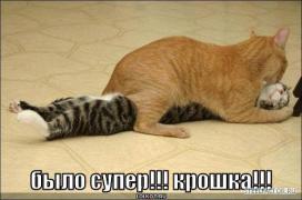 bylo_super_1276571386.jpg