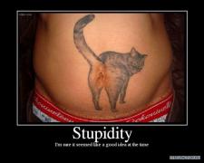 stupidity18.jpg