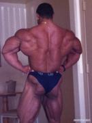 roelly.jpg