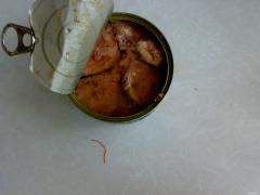 19062010707.jpg