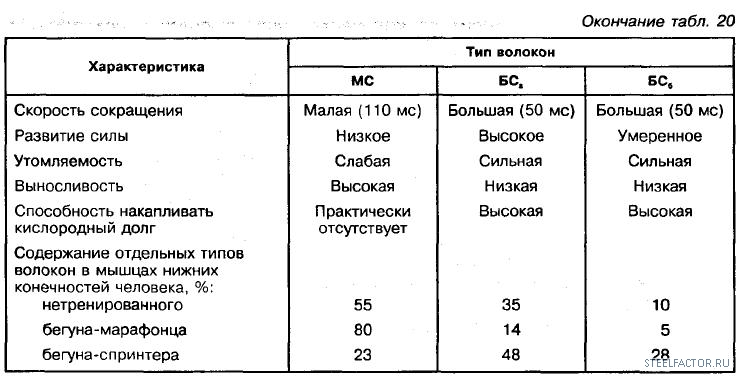 Типы волокон. Скорость сокращения волокон. Тип мышечных волокон быстрота сила выносливость. Быстро сокращающиеся мышцы. Скорость сокращения мышечных тканей.