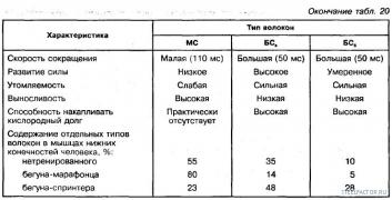 Компазиция_типов.jpg