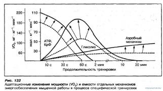 Режимы_при_тренированности.jpg