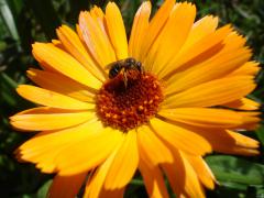 DSC04841.JPG