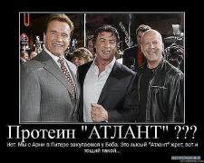 x_5418fb3a_238303.jpg
