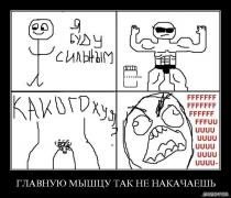 69296_glavnuiu_myshtsu_tak_ne_nakachaeshi.jpg