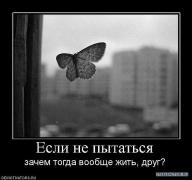x_f1e77ff5.jpg