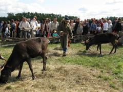 IMG_5479.jpg